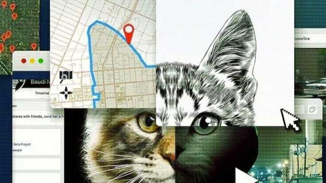 'No te metas con los gatos', de Netflix