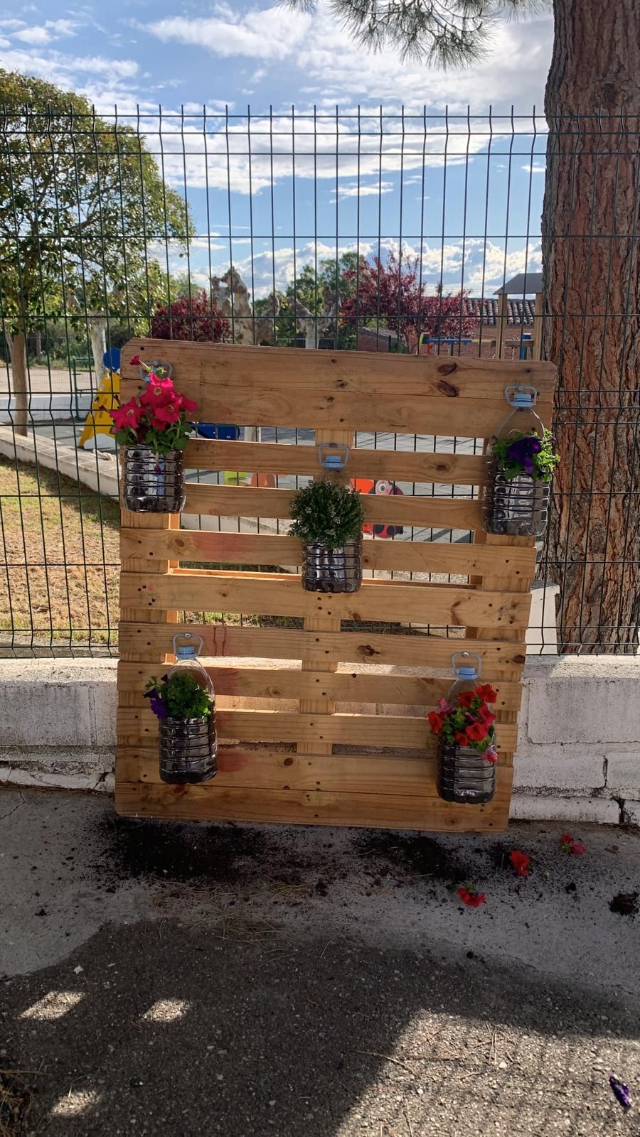 GALERÍA| Jardín reciclado en El Piñero