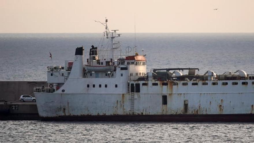 Un laboratorio analiza si las vacas atrapadas en un barco en Cartagena tienen el virus de la lengua azul