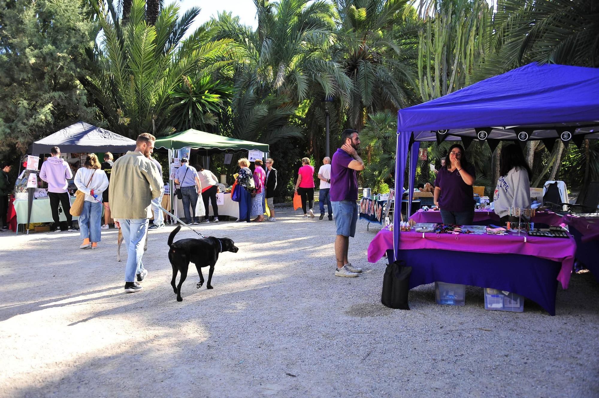 Feria de la adopcion de la provincia de Alicante