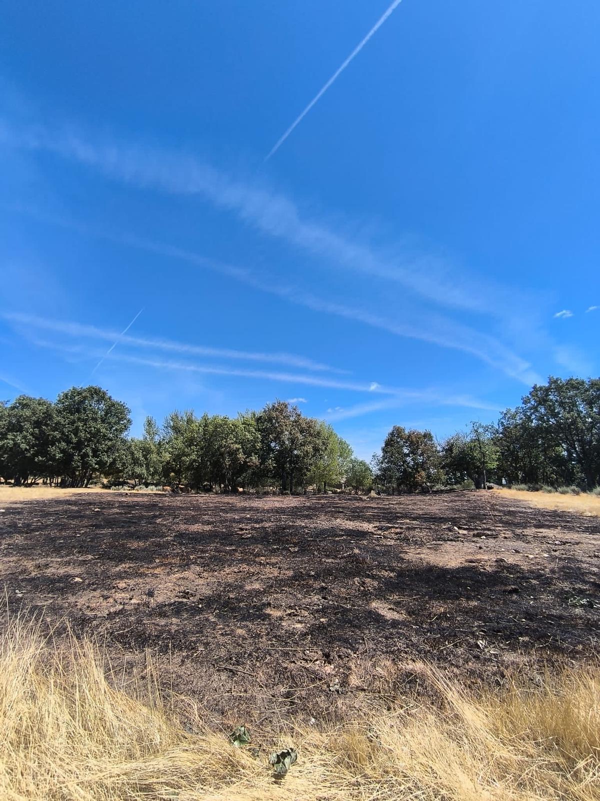 Restos del conato de incendio en Gramedo