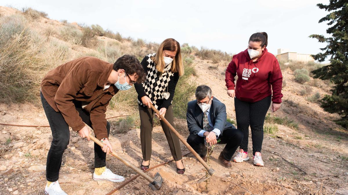 ODSesiones de la UMU reforestará la zona norte del Campus de Espinardo en la inauguración de las actividades del ODS 13: ‘Acción por el clima’