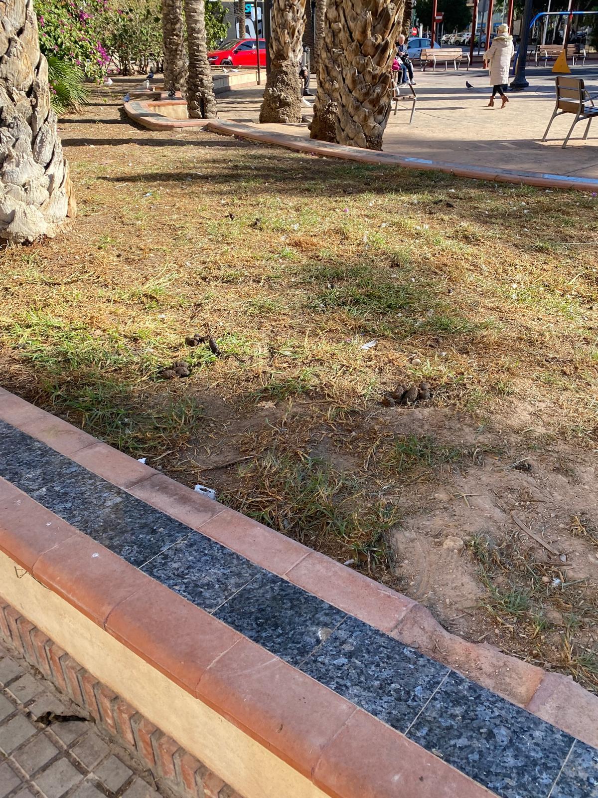 Los vecinos se quejan de la insalubridad de la zona, donde no encuentran sitios limpios para poder sentarse