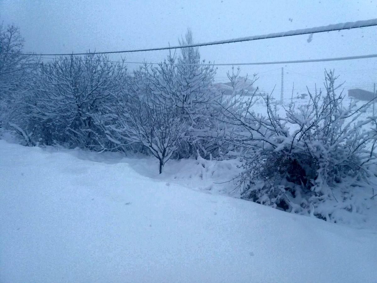 Imágenes de la espectacular nevada de hoy en Aragón