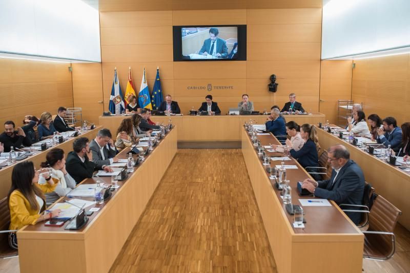 Pleno Extraordinario en el Cabildo de Tenerife