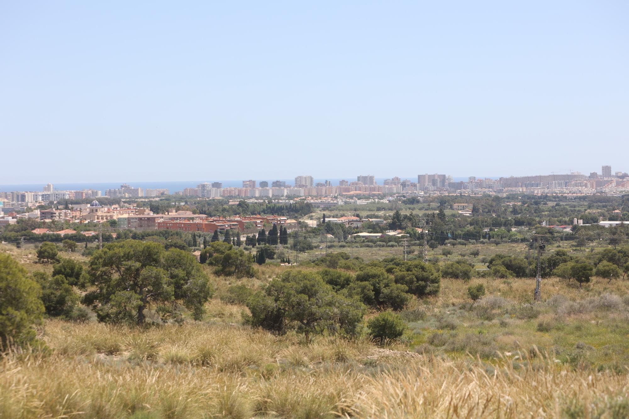 Vista de la huerta de Alicante