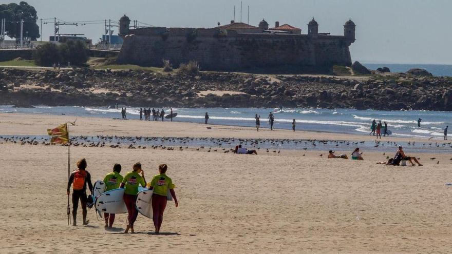 Águilas para espantar a las gaviotas: la iniciativa que este verano llevará a cabo Oporto en su principal playa