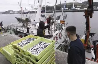 ¿Por qué caen las ventas en la Rula de Avilés en el primer trimestre del año? Las cuotas de una especie fundamental y la expectativa ante la principal costera de la primavera