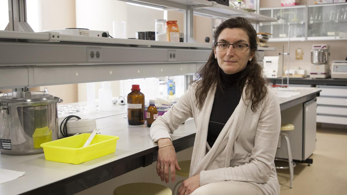 La investigadora Isabel Revilla en el laboratorio del Campus Viriato de Zamora en una imagen de archivo.