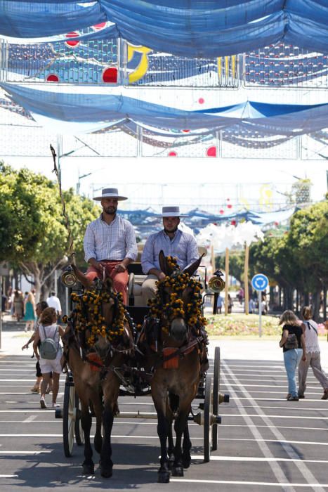 Primeros caballos en el Cortijo de Torres