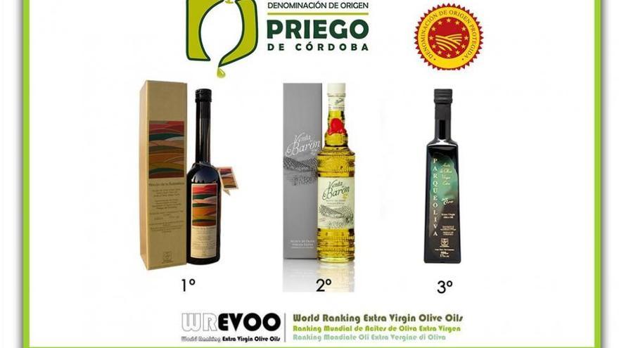 Tres aceites de oliva de Priego copan los primeros puestos del Ránking Mundial Evoo