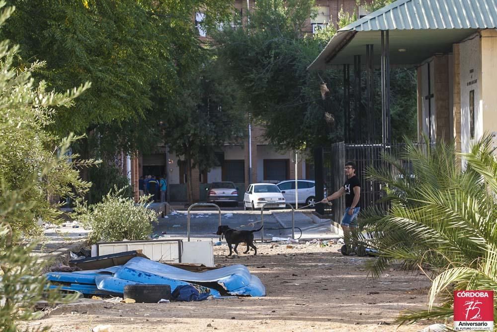 FOTOGALERÍA / La situación actual de las Palmeras