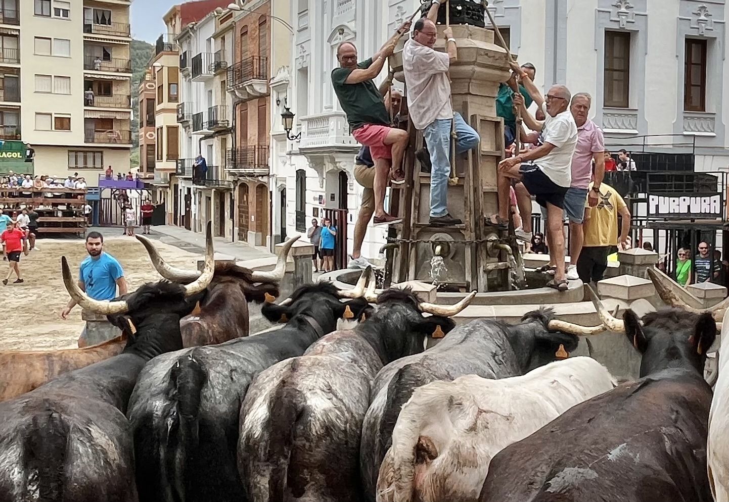 Las fiestas de Llucena estarán marcadas por los actos taurinos, que reunirán a vecinos y visitantes.