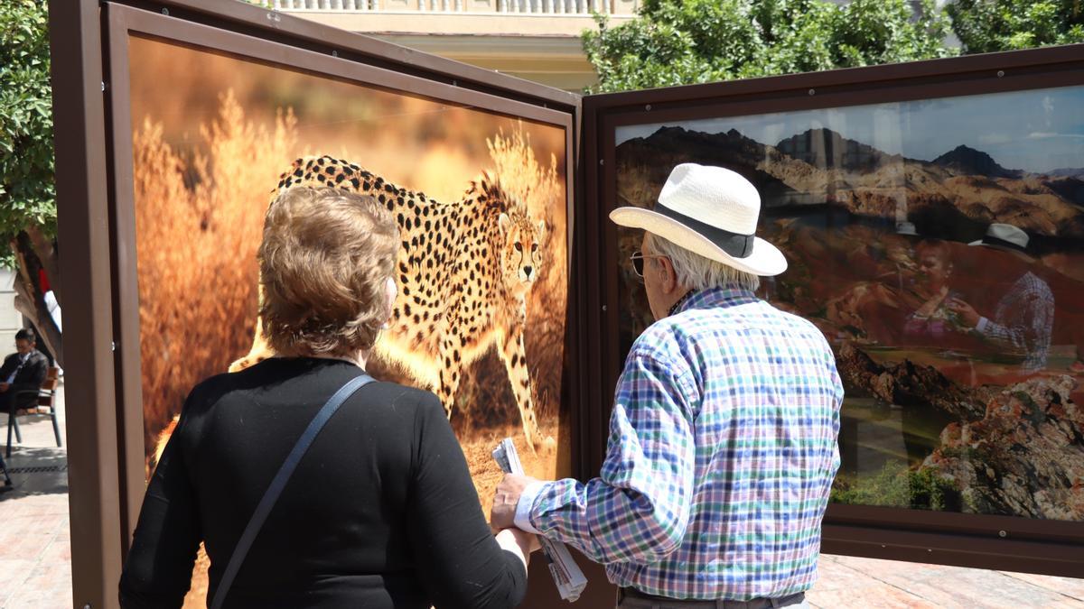 Exposición 'De polo a polo' en la plaza de la Constitución