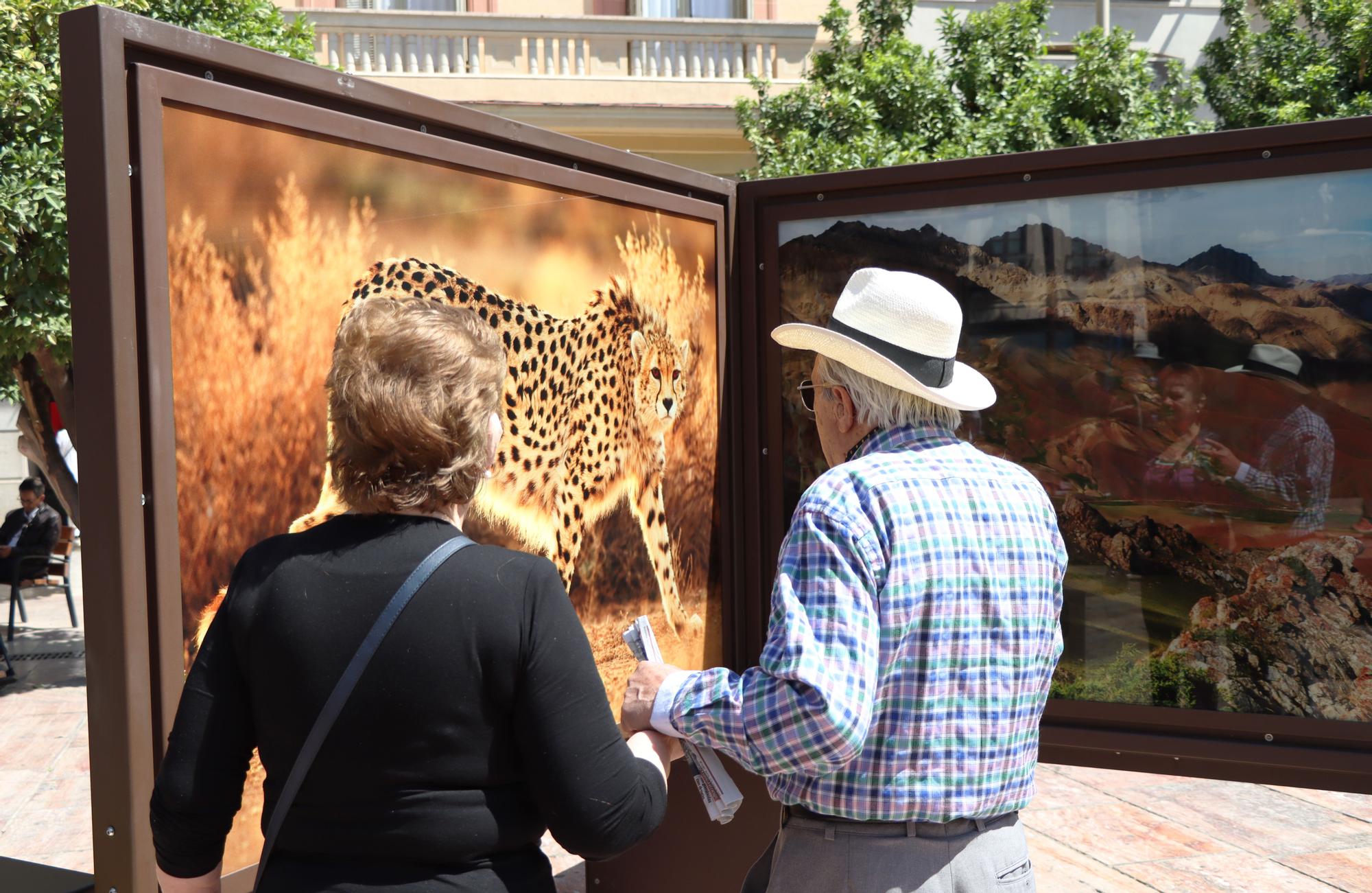 Exposición 'De polo a polo' en la plaza de la Constitución