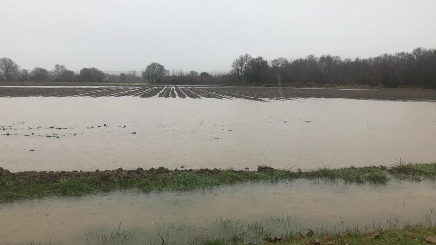 Inundaciones en A Limia // FdV