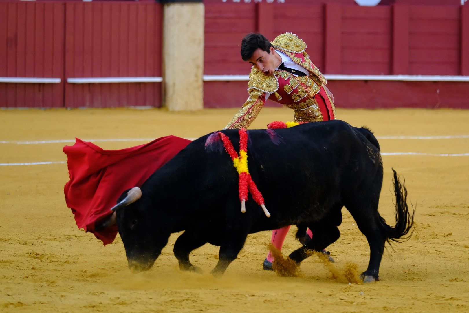 XVI Certamen Internacional de Escuelas Taurinas La Malagueta