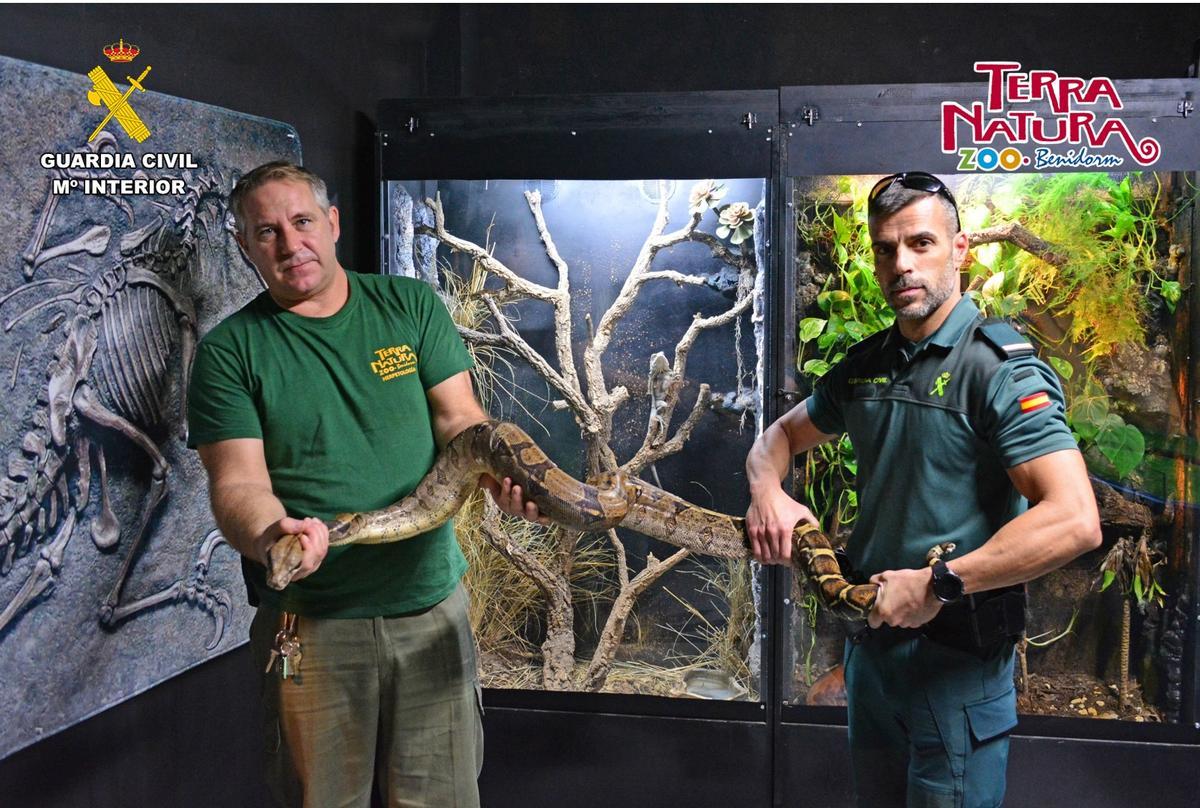 Entrega de la boa al parque Terra Natura en Benidorm.