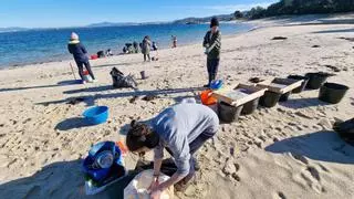 Las bolas de plástico agravan un problema mayor