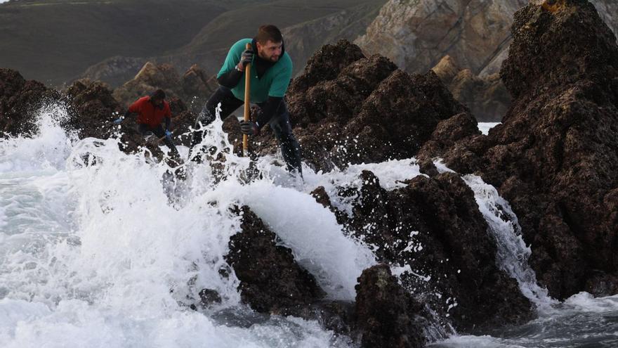 Abraham Mazuelas, durante una salida al percebe en la costa de Gozón. | LUISMA MURIAS