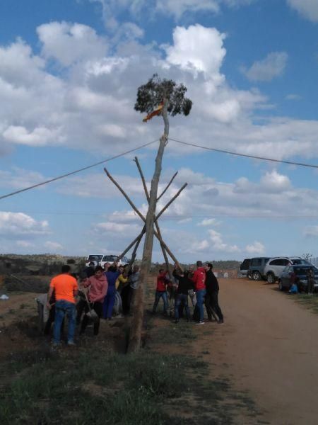 La tradición del mayo en Zamora