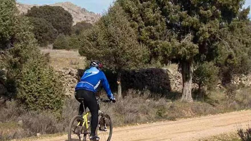 Pedalear entre bosques y caminos históricos: rutas en bicicleta por el Parque Nacional de Guadarrama