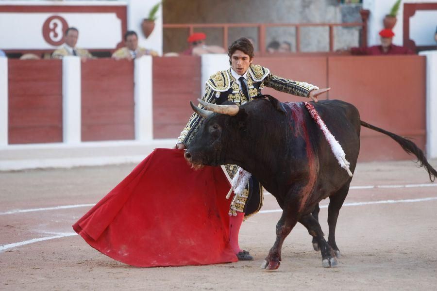 Toros en Zamora