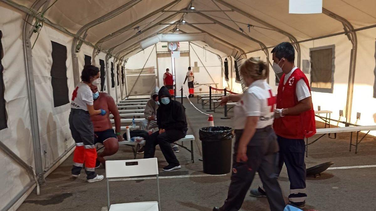 Los sanitarios de la Cruz Roja atienden a los inmigrantes en el puerto de Alicante.