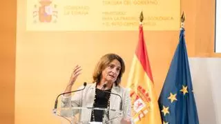 El Gobierno envía tres meses tarde su plan de energía y clima a Bruselas y mantiene la meta del 81% de electricidad renovable en 2030