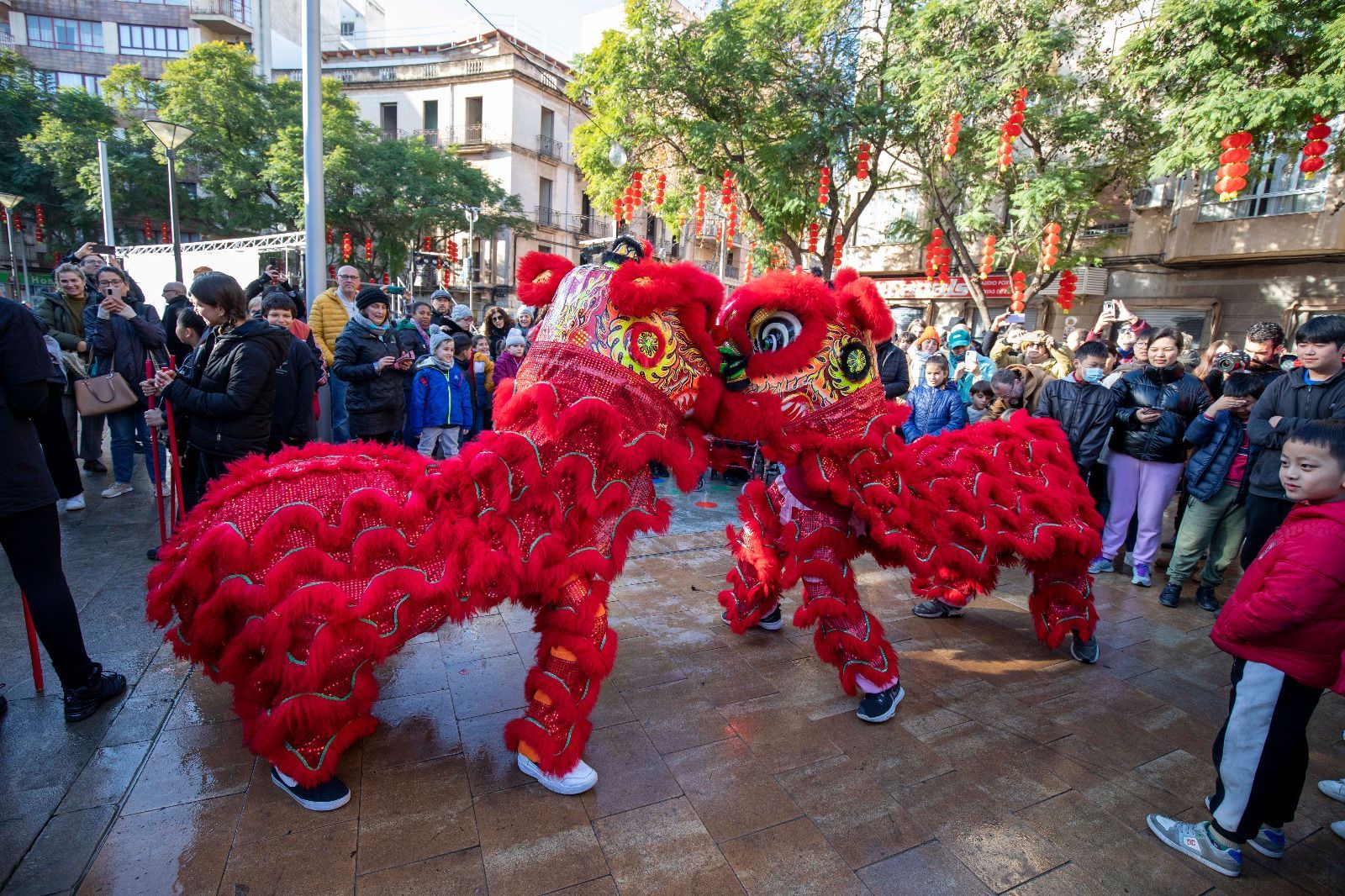 Tanzende Drachen: So bunt feiert Palma de Mallorca das chinesische Neujahrsfest