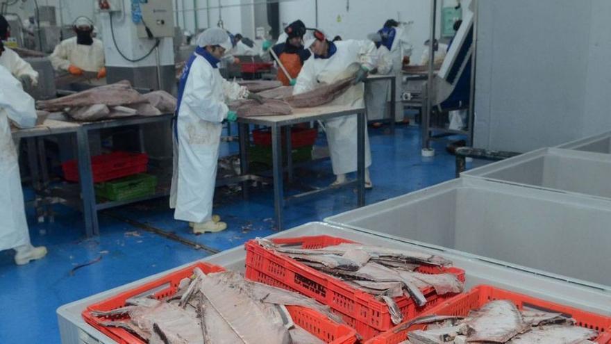 La conserva gallega avista ya los 1.000 millones en facturación exterior por el auge del atún
