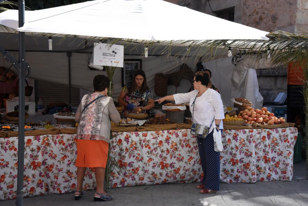 XV Feria Gastronómica de Muro