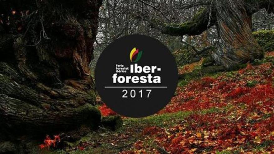 Iber-Foresta 2017 abre sus puertas el 26 de junio hasta el jueves 29 en Plasencia