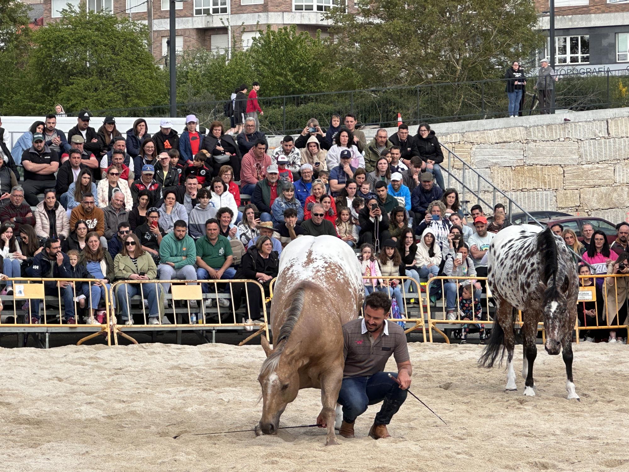 Danza sobre la arena: el espectáculo equino de Santi Serra hipnotiza Lalín