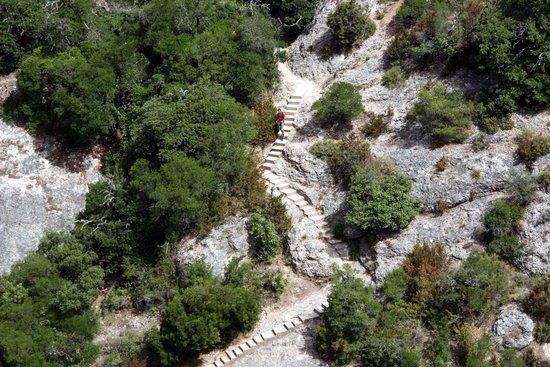 Accessos tallats al massís de Montserrat per alt risc d'incendi