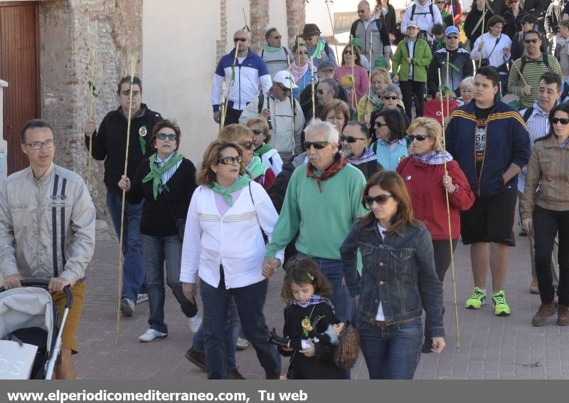 GALERÍA DE FOTOS - Romería Magdalena 2014 (7)