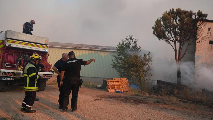 Un incendio devora el histórico bosque de Fontainebleau al sureste de París