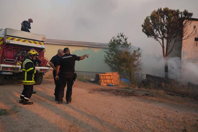 Un incendio devora el histórico bosque de Fontainebleau al sureste de París