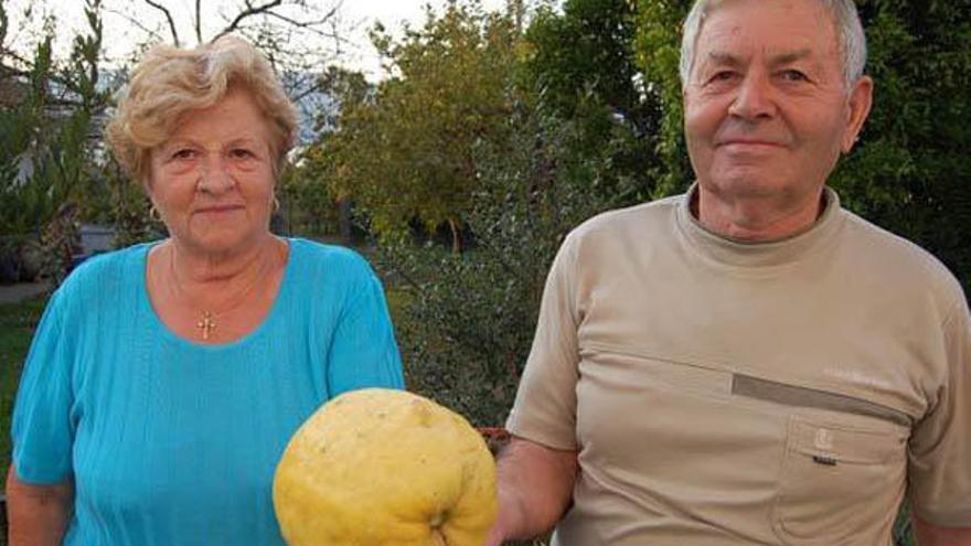 Constantino Gómez y Rosa Penas muestran el enorme limón en su finca