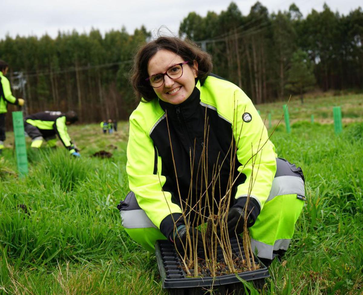 Una de sus actividades es la plantación de árboles. |  Amicos.