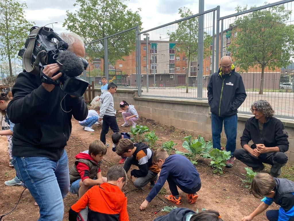 Projecte de l'Escola Monseyor Gibert de Sant Fruitós amb la col verda manresana