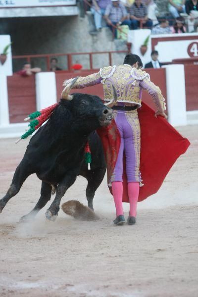 Toros en Zamora