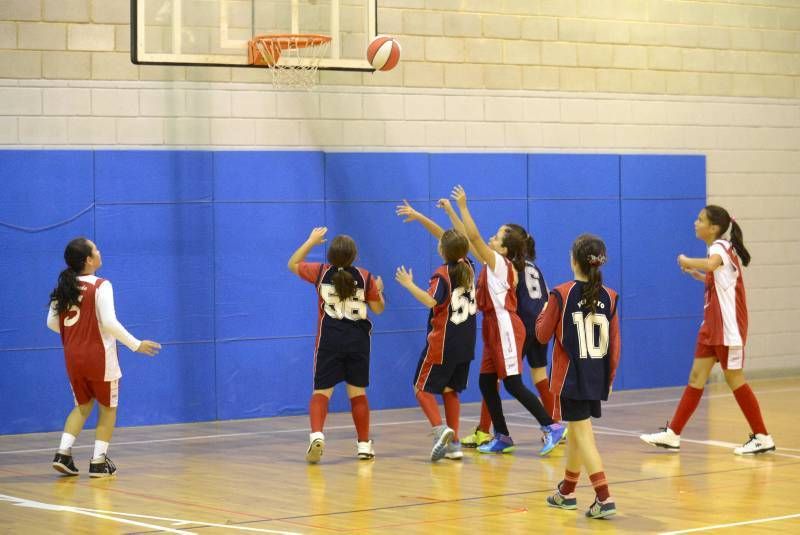 DÍA DEL MINIBASKET. Partidos de las 10:30 horas