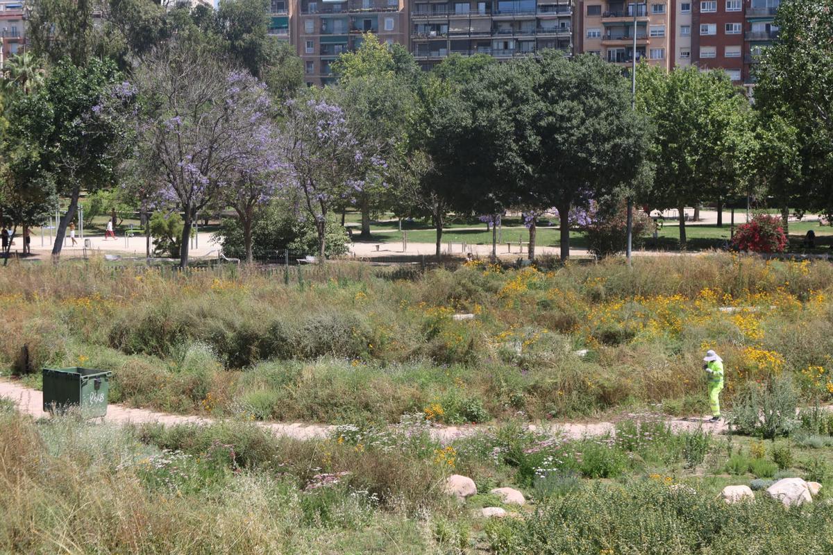 El Jardín de Polinizadores situado en el tramo VI del Jardín del Turia