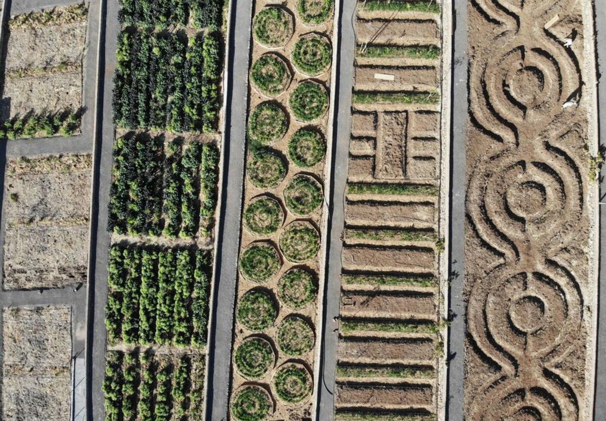 Imagen aérea y parcial del trabajo realizado en la Huerta Grande. | | E.D.