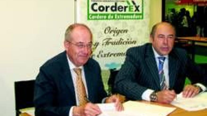 Corderex y El Arbol colaborarán un año más