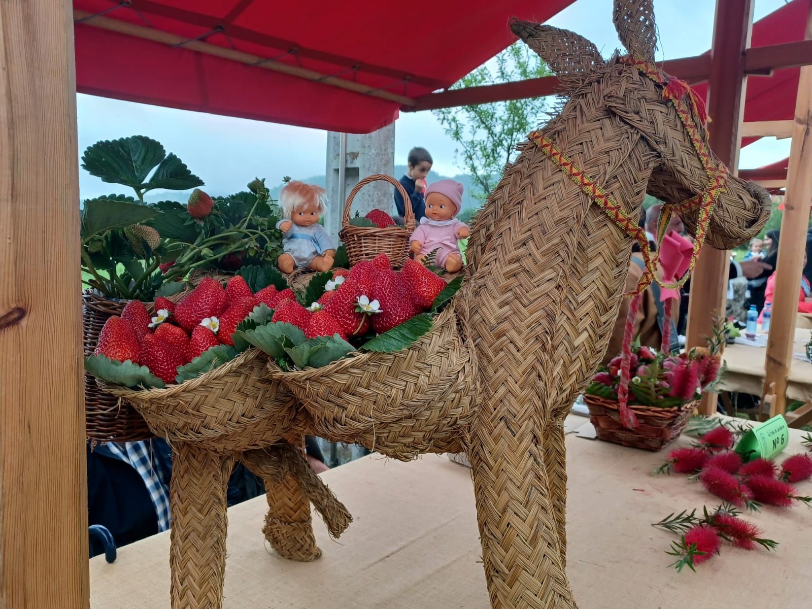 Festival de la Fresa de Candamo: éxito de público y existencias agotadas