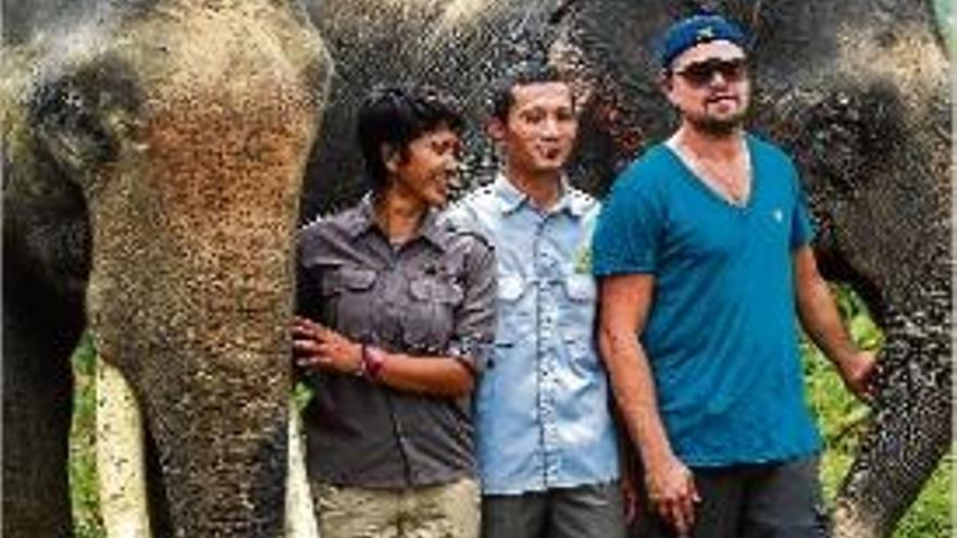 DiCaprio visita l&#039;ecosistema de Sumatra