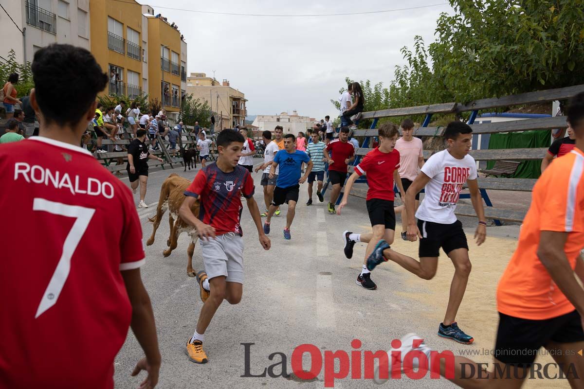 Chupinazo y encierro chico en Calasparra