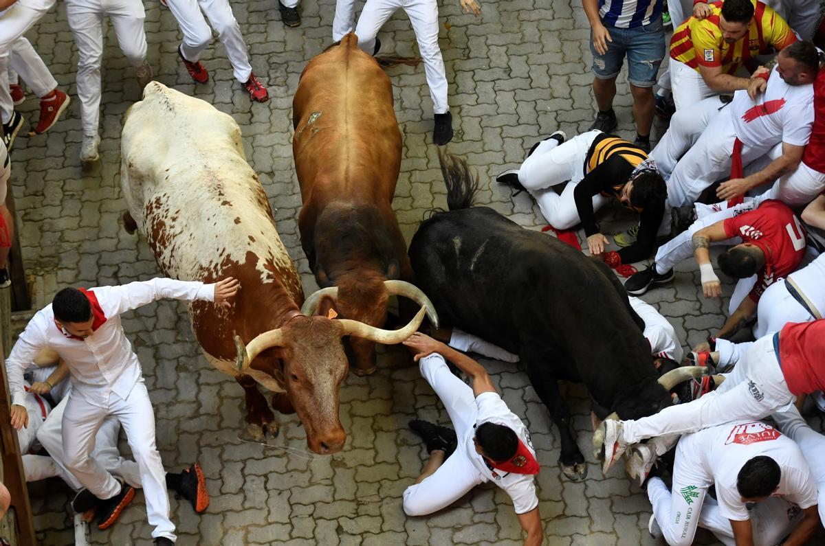 La Ressurrecció dels Sanfermins.